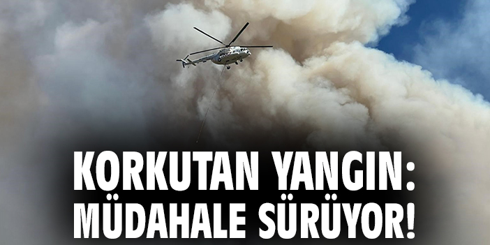 Uşak’ta Orman Yangını: Ekipler Seferber Oldu!