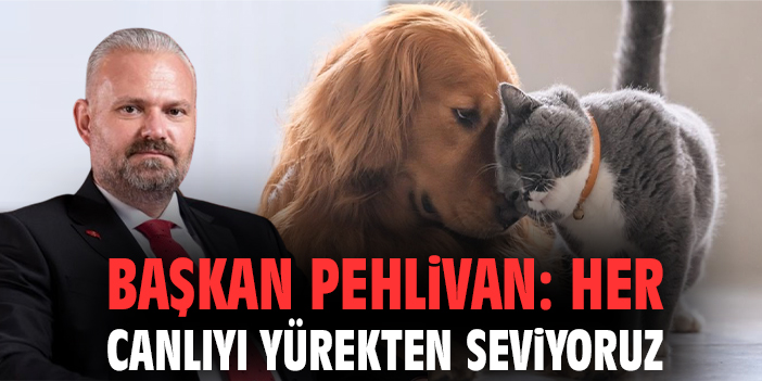 Menemen’de Şefkat: Anne Kediye Umut Oldular