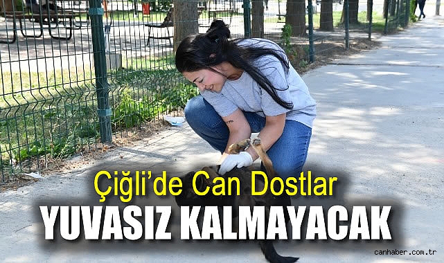 Çiğli Belediyesi’nden Hayvanlar İçin Yeni Proje!