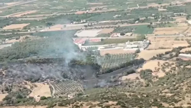 Menemen’de Ormanda Yangın Çıktı – Son Dakika