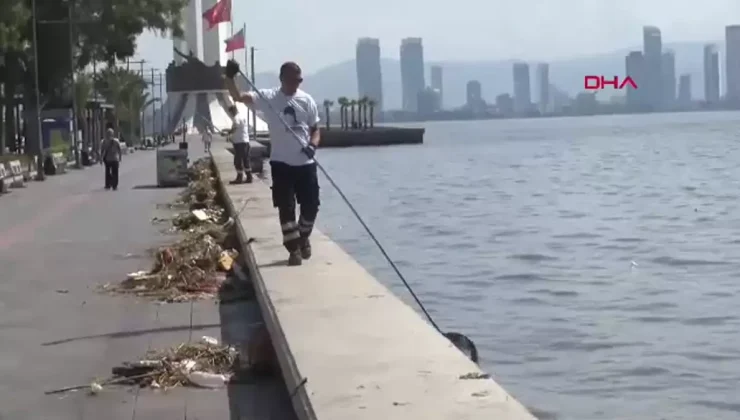 İzmir’de Sahil Kirliliği, Temizleme Çalışmaları Başladı!
