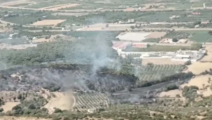 Menemen’de Orman Yangını Kontrol Altına Alındı