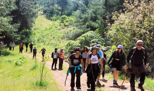 Türkiye: Turistlerin Hayranlıkla Anlattığı Güzellikler