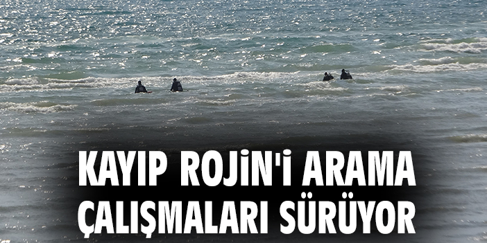 Yeni Öğrenci Rojin Kabaiş, Van’da Kayboldu!