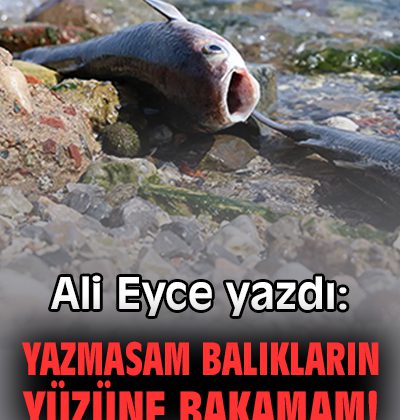 Hayvan Hakları Günü: Sadece Bir Gün Değil!