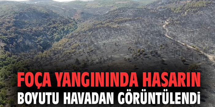 Foça’daki Yangında 340 Hektar Alan Yandı!