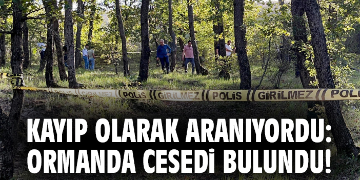 Kayıp Adamın Cesedi Ormanda Bulundu: İntihar İddiası