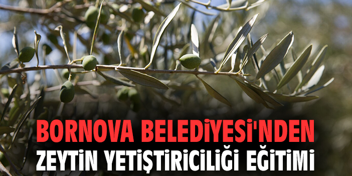 Bornova’da Zeytin Yetiştiriciliği Eğitimi Başlıyor!
