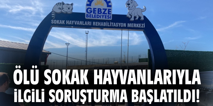 Gebze’de Sokak Hayvanlarıyla İlgili Skandal!