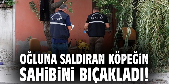 Çocuk Köpek Saldırısına Uğradı, Baba Kaçırdı!