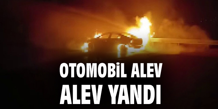 Ankara-Niğde Otoyolu’nda Araç Yangını! İtfaiye Hızla Müdahale Etti