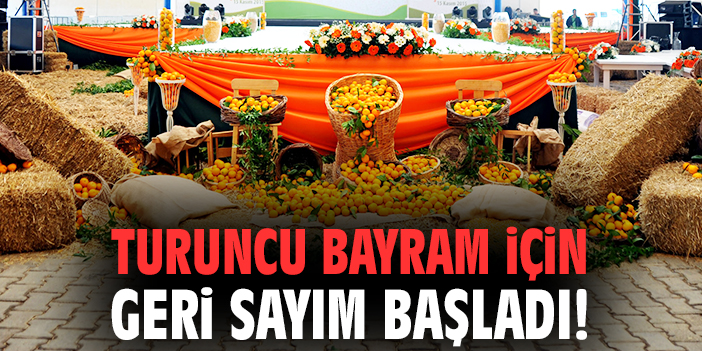 Mandalina Şenliği’nde Eğlence ve Yarışmalar Başlıyor!
