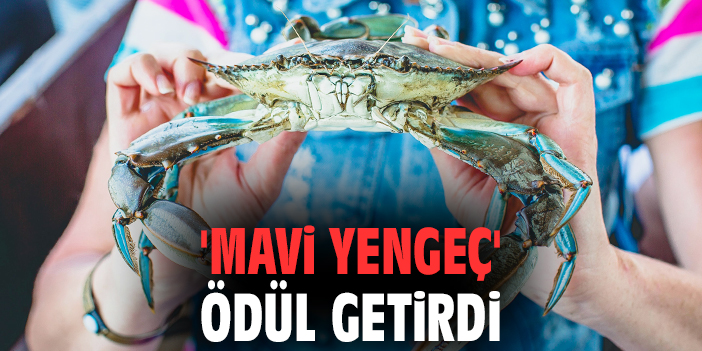 İEÜ’lü Öğrencilerden Mavi Yengeçle 2.’lik Başarısı!