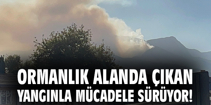 Merkezefendi’de Orman Yangını Zorlu Mücadeleyle Sürüyor