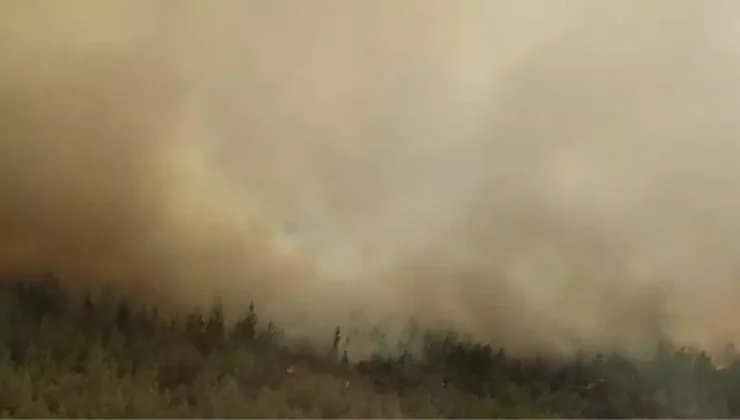 Foça’da Çöplük Yangını Ormana Sıçradı!