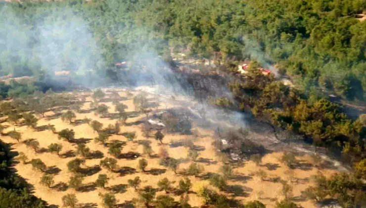 İzmir’de Ziraat Arazisindeki Yangın Ormana Sıçradı!