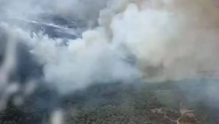 Foça’da Çöplük Yangını Ormana Sıçradı!