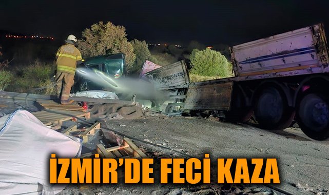 Feci Kaza: Tır, Ata Çarptı, Sürücü Hayatını Kaybetti