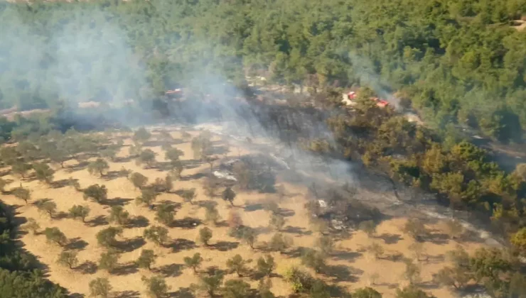 İzmir’de Yangın Tarım Arazisinden Ormana Sıçradı!