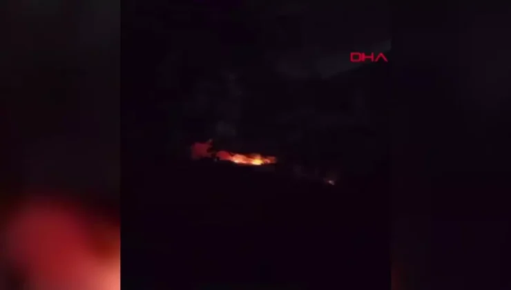 Gaziemir’de Orman Yangını, Müdahale Sürüyor!