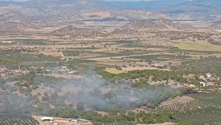 Dikili’de Tarım Arazisinde Büyük Yangın Çıktı!