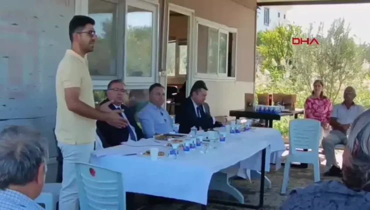 Foça’da Zeytin Hasadı Başladı, Bereket Diliyoruz!