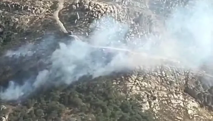 Foça’da Ormanda Yangın: Havadan ve Karadan Mücadele!