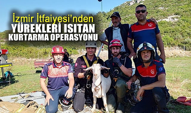 Kayıp Keçi İçin Kahraman İtfaiye Kurtarma Operasyonu