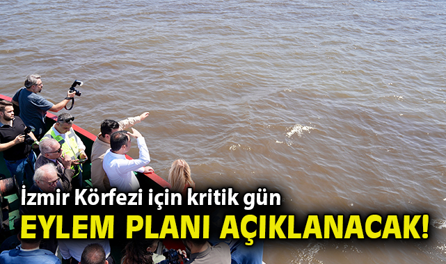 İzmir Körfezi’nde Balık Ölümleri: Acil Eylem Planı Açıklanıyor