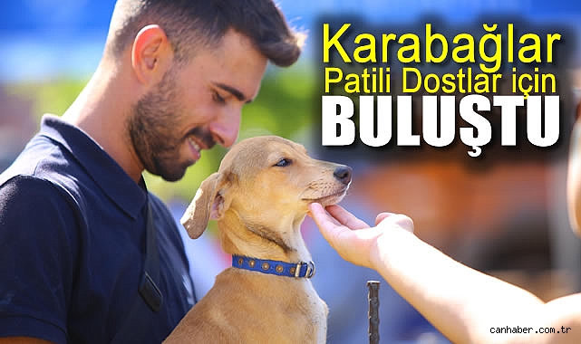 26 Hayvan Sıcak Yuvaya Kavuştu!
