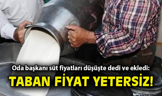 Süt Fiyatları Düşerken Üreticiler Zor Günler Geçiriyor