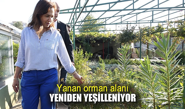 Karşıyaka’da Doğa İçin El Ele Fidan Dikimi Şenliği