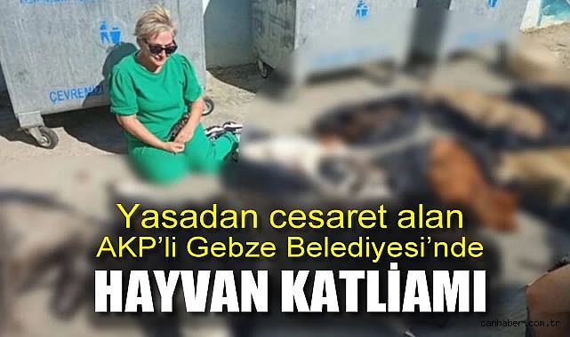 Katliam Yasası: Gebze’de 43 Hayvan Öldürüldü
