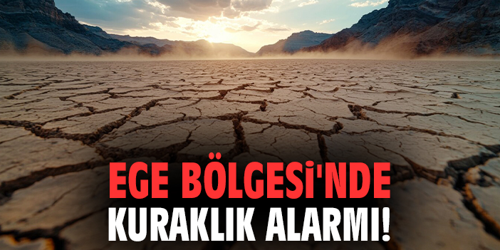 Aydın’da Kuraklık: Zeytin Hasadı Tehlikede!