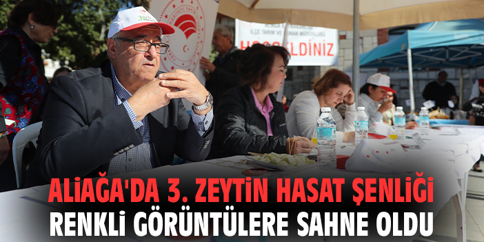 Helvacı’da Zeytin Hasat Şenliği Coşkusu Yaşandı!