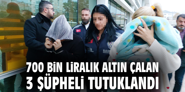 Cedit Mahallesi’nde 700 Bin TL’lik Hırsızlık!
