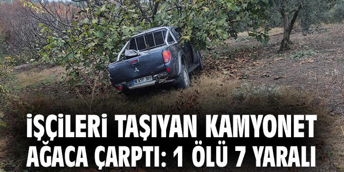 Zeytinlikte Korkunç Kaza: 1 Ölü, 7 Yaralı!