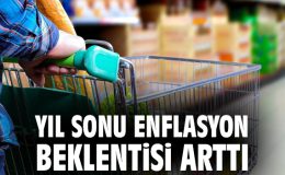 Merkez Bankası Anketi: Enflasyon Beklentileri Arttı!