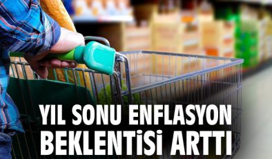 Merkez Bankası Anketi: Enflasyon Beklentileri Arttı!