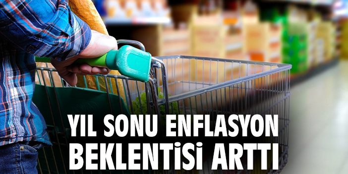 Merkez Bankası Anketi: Enflasyon Beklentileri Arttı!