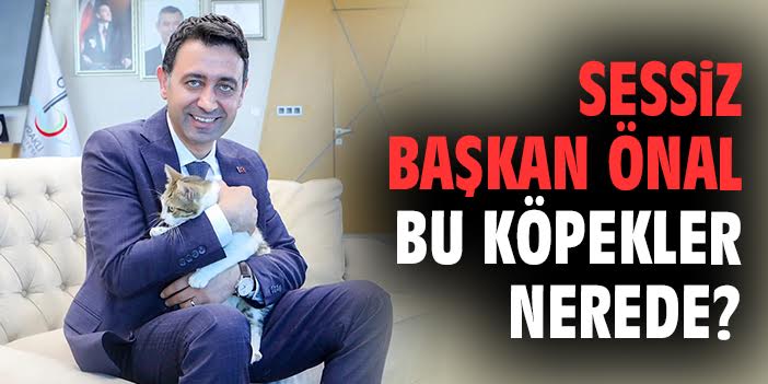 Bayraklı’da 20 Yavru Köpek Ölümü Tepki Çekti!
