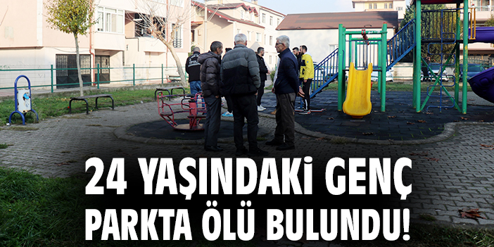 Çocuk Parkında Silahlı Ölüm: Gizemli Olay!