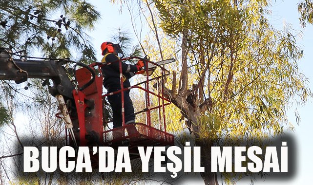 Buca’da Yeşil Seferberlik Başladı!
