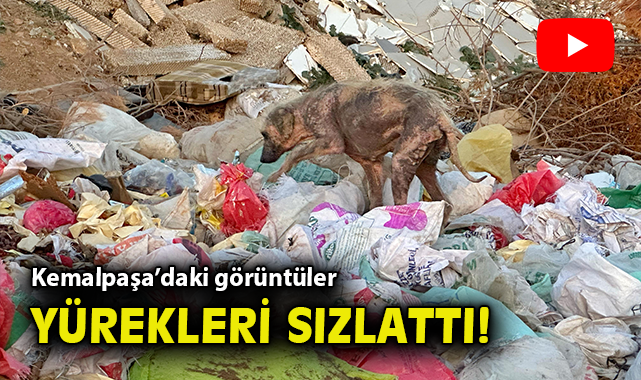 Kemalpaşa’da Vahşi Depolama Tepkileri Büyüyor!