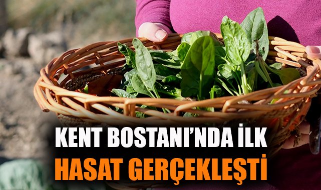 Bornova’da Kadınlar Organik Üretimle Güçleniyor