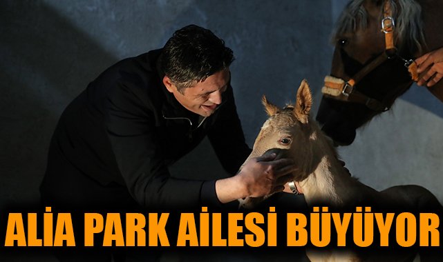 Alia Park’ta Minik Tay Sevinci: İsim Yarışması Başladı!