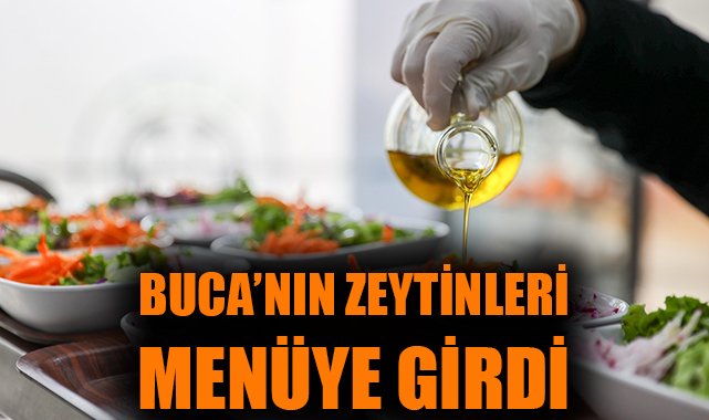 Buca’da Zeytin Hasadı Başladı, Yerel Lezzetler Artıyor!