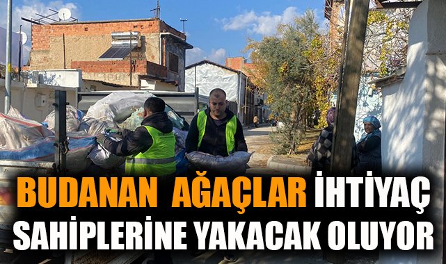 Ödemiş’ten Yeşil Kent Uygulamaları: Budama ve Yardım