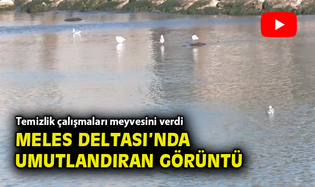 İzmir Körfezi’nde Temizlikle Suyun Berraklaşması Başladı