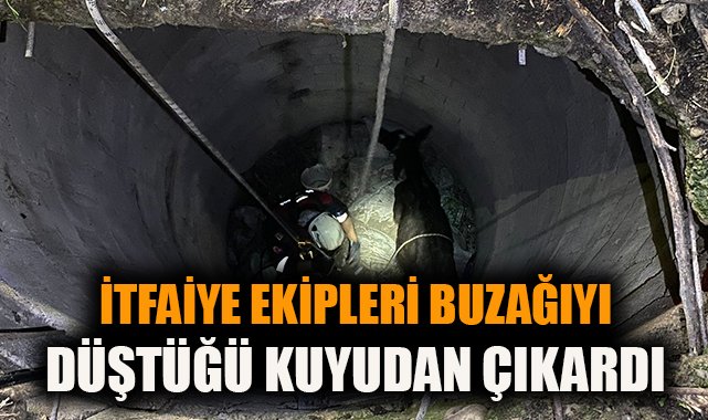 İtfaiye Ekiplerinden Buzağı Kurtarma Operasyonu
